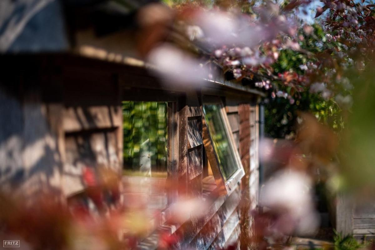 The Tool Shed Nestled In Idyllic Countryside Villa Linchmere Екстериор снимка