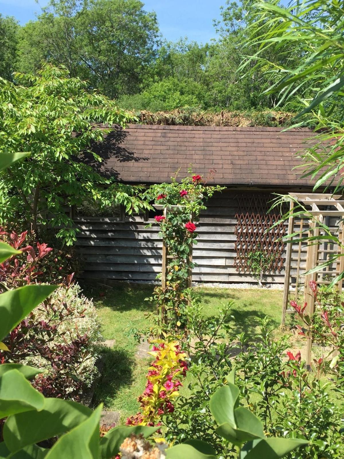 The Tool Shed Nestled In Idyllic Countryside Villa Linchmere Екстериор снимка