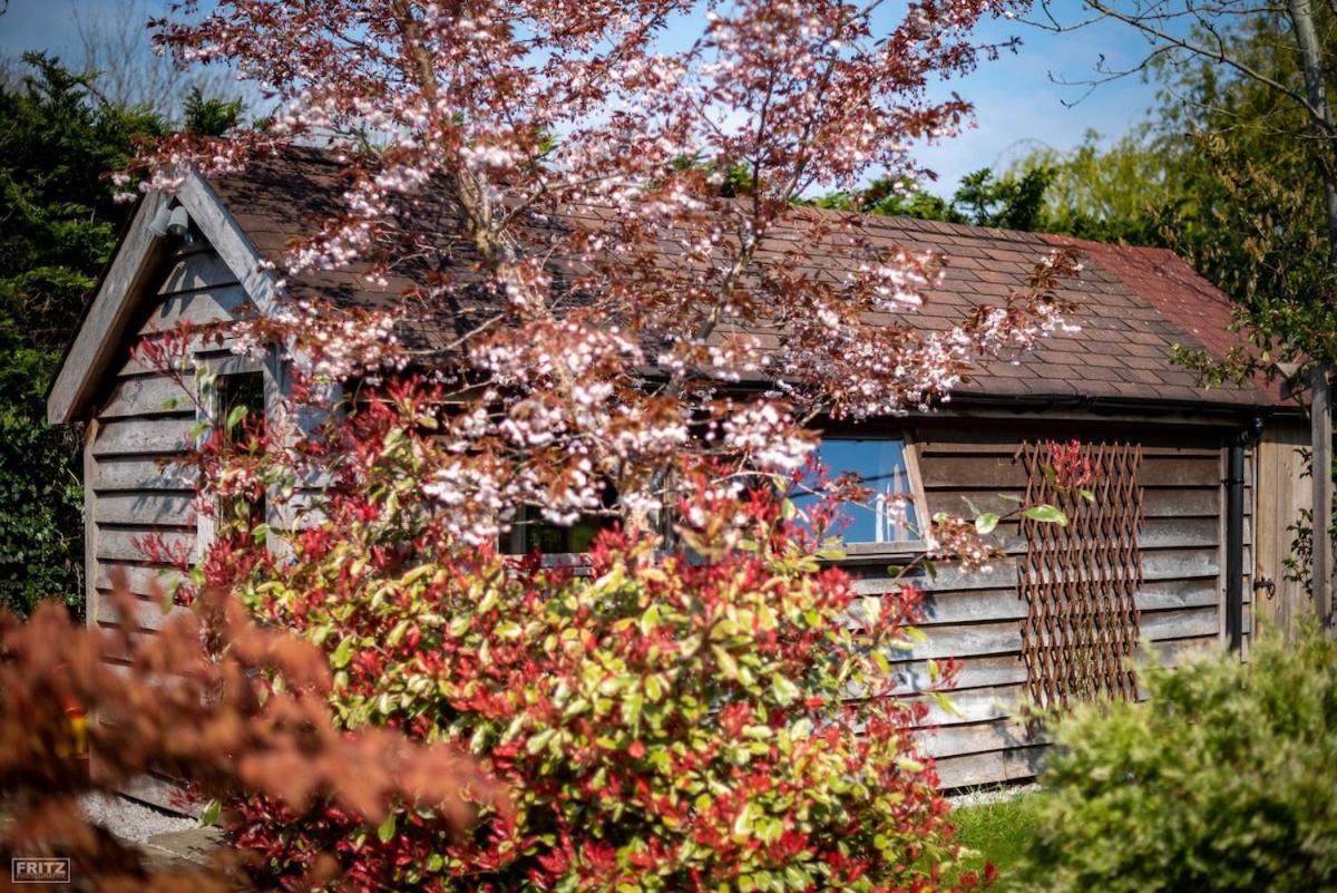 The Tool Shed Nestled In Idyllic Countryside Villa Linchmere Екстериор снимка